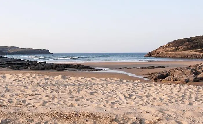 El Encinar De Playa De La Arena